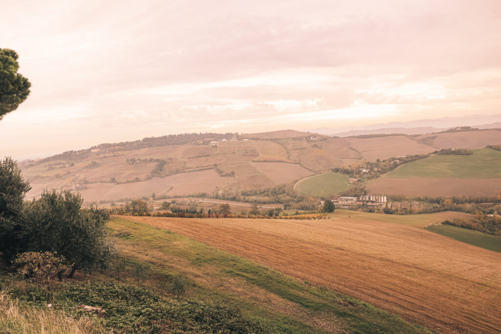 cenni e assirelli-2-sfondo