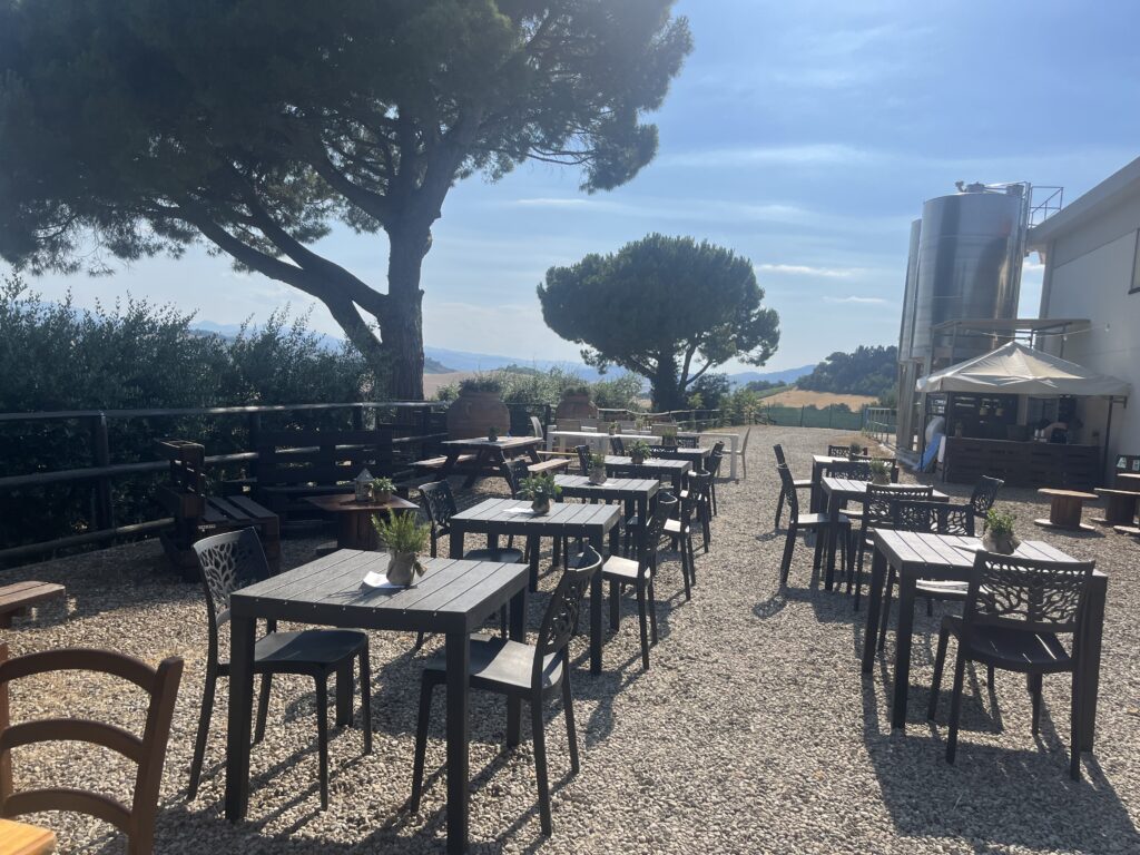 cantina cenni assirelli dozza
